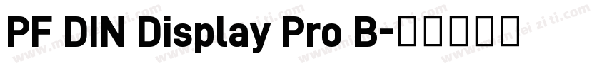 PF DIN Display Pro B字体转换